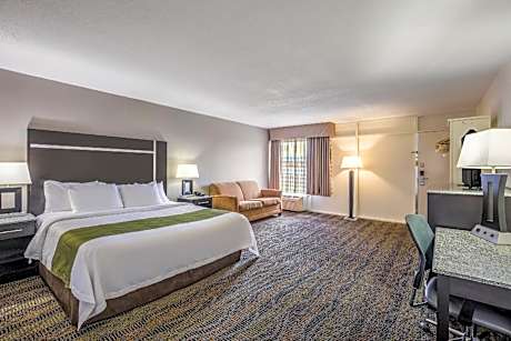 1 King Bed, Suite, Nonsmoking