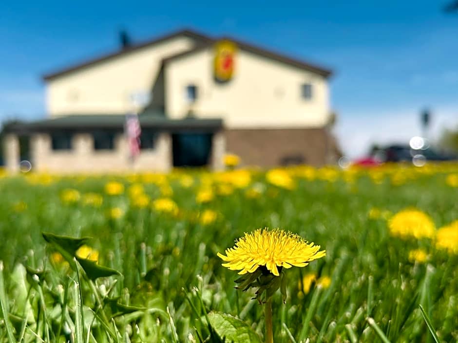 Super 8 by Wyndham Imlay City