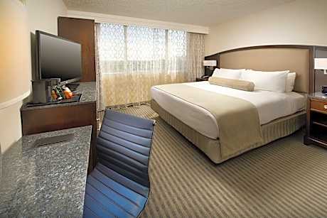 Guest room, Smaller Guest room, 1 King