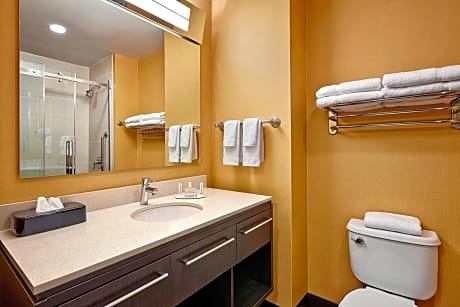 Suite, 1 Bedroom (1 King Bed and 1 Double Sofa Bed)