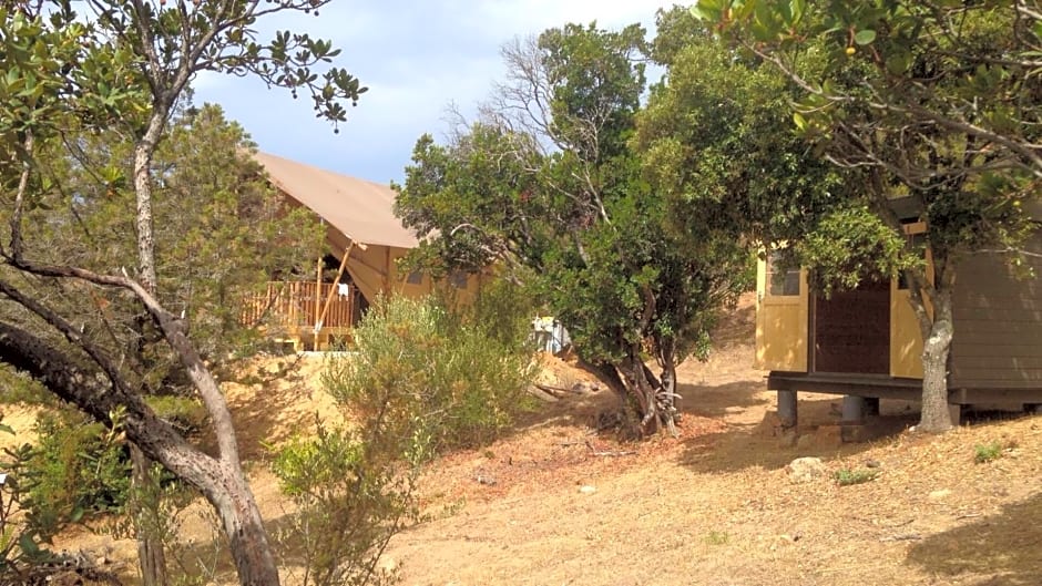 Tente Lodge Bord de Mer