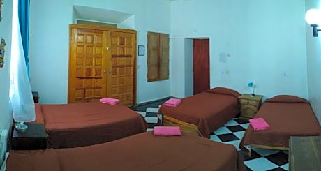 Bed in 4-Bed Mixed Dormitory Room
