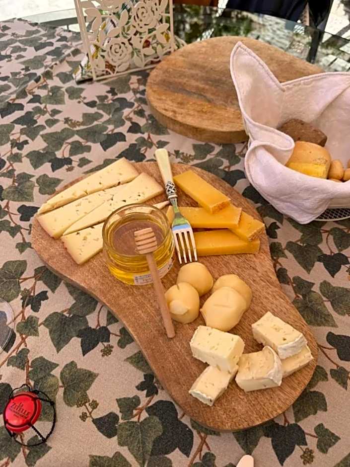 Le Zitelle di Ron