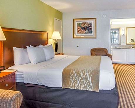 King Suite - Non-Smoking