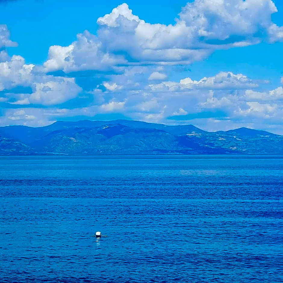 La Piana degli Ulivi