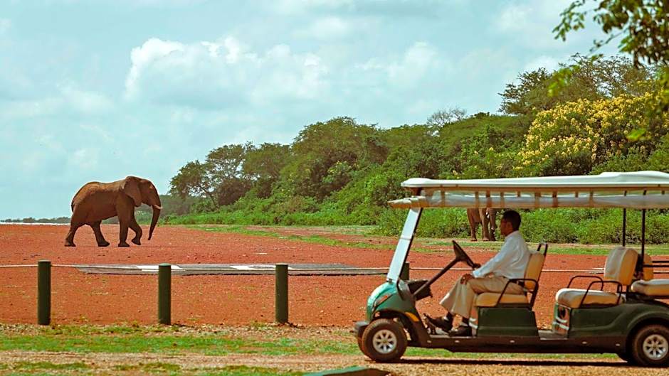 Chobe Safari Lodge-East Africa Uganda