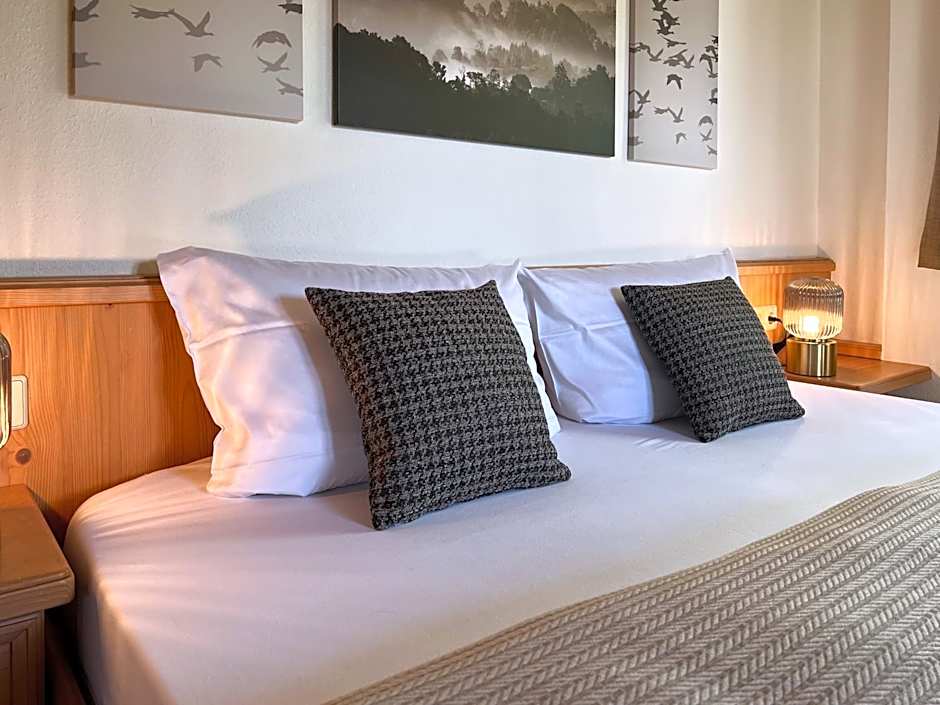 Schwarzwald Apartments im Haus Tanneck - Feldberg - Titisee