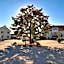Landhotel Fetzer