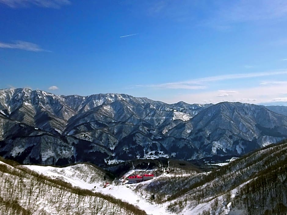 Hotel Green Plaza Hakuba