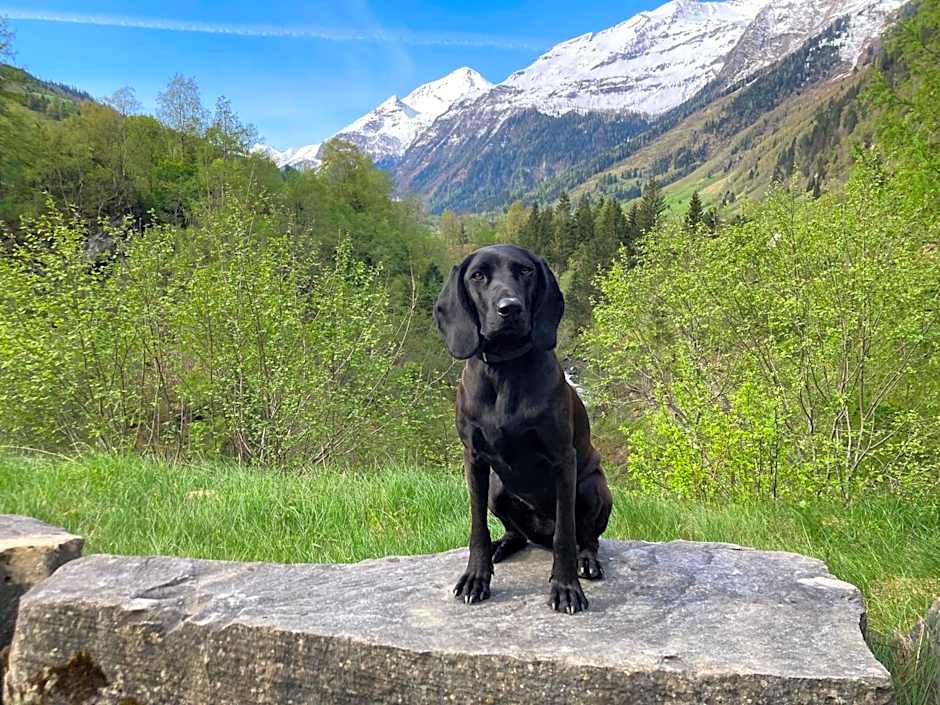 Haus Standlgut Rauris -- incl Sommercard