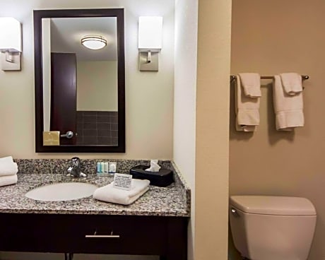 1 King Bed, Nonsmoking