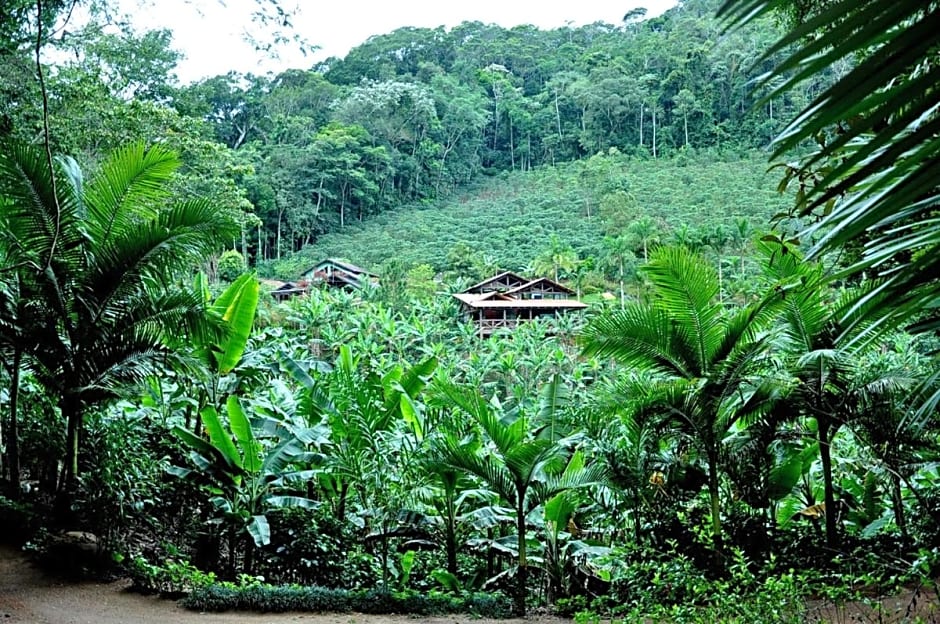 Sitio Recanto Primata