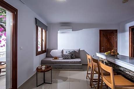 Studio with Terrace