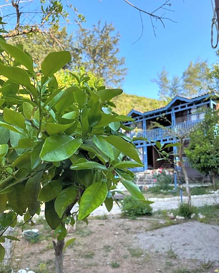 Olympos Route 66 Pansiyon