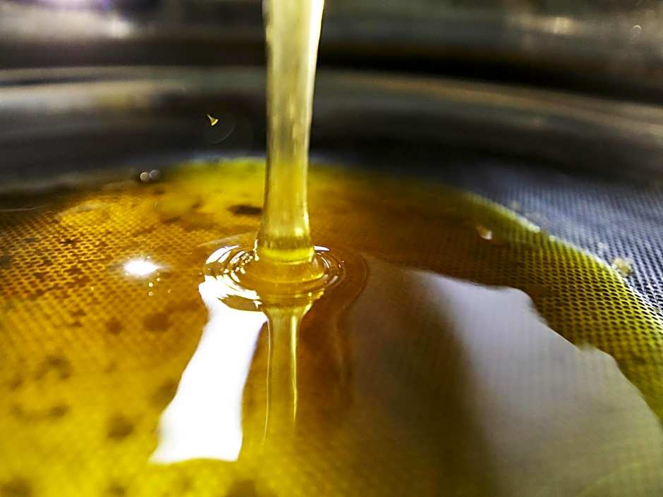 Greet Hotel Marseille Provence Aeroport