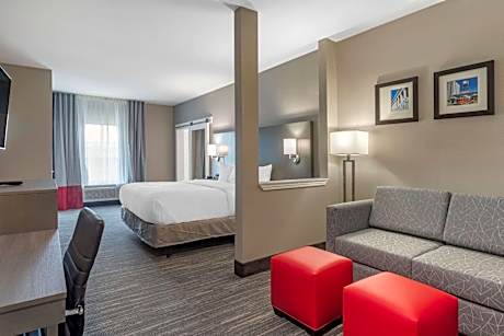 King Suite - Accessible/Non-Smoking