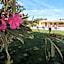 Casa da Ladeira Branca