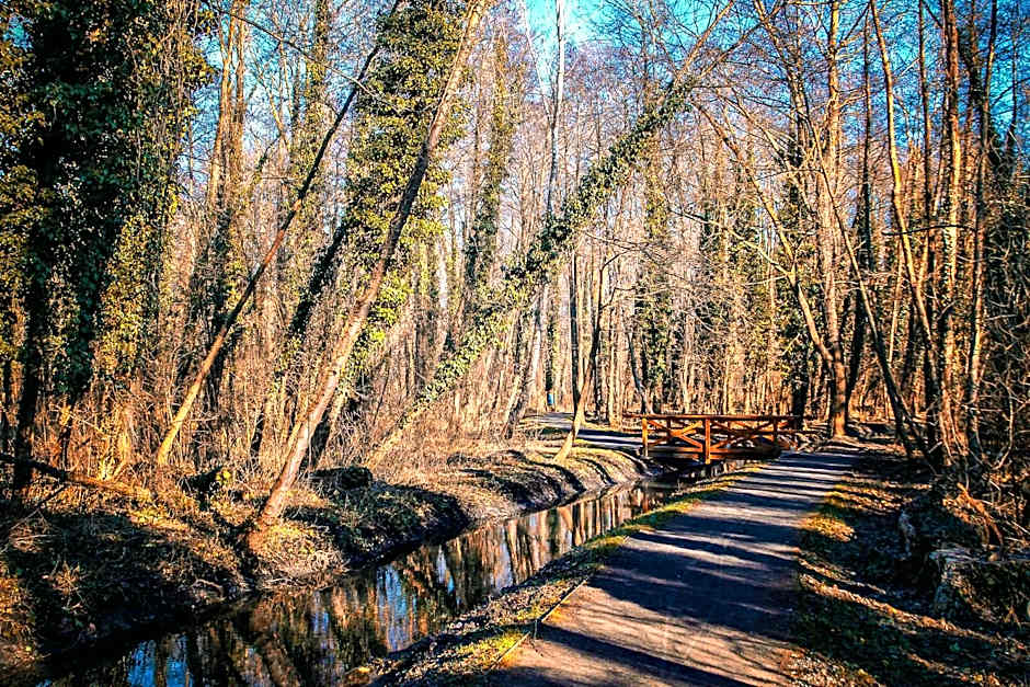 ****Heviz Springs Apartments