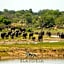 Elandela Private Game Reserve and Luxury Lodges Pty Ltd
