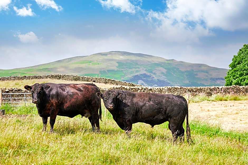 The Dalesman Country Inn