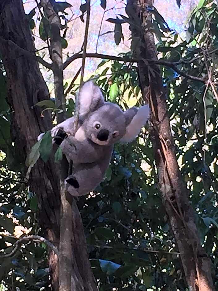 Rossmount Rural Retreat