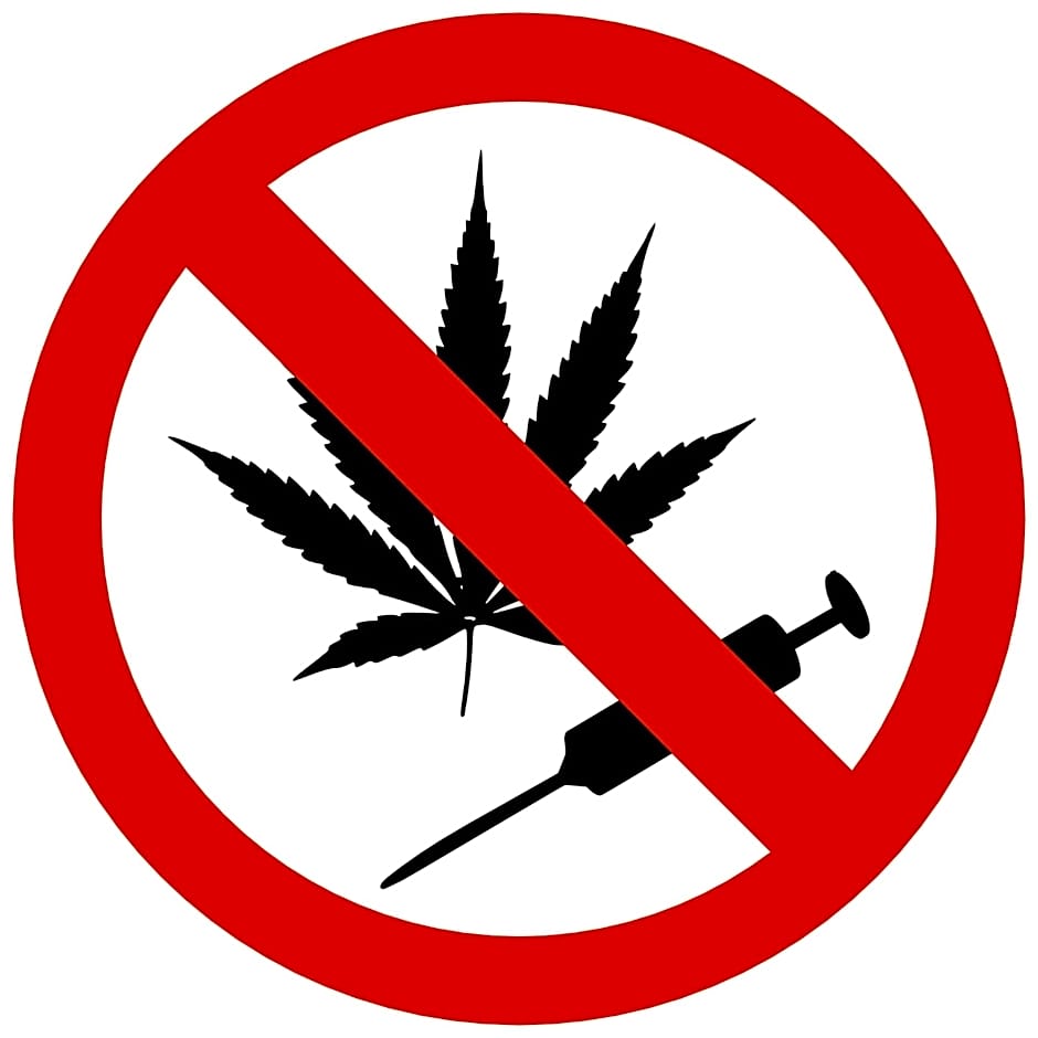 Duin-Vliet - Free parking