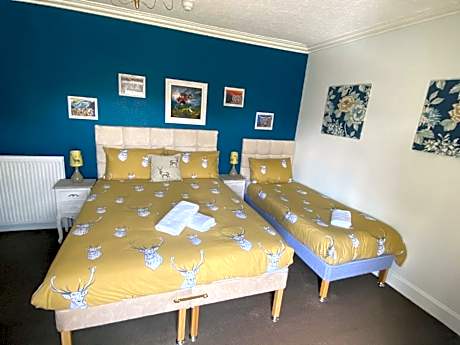 King Room / Family Room