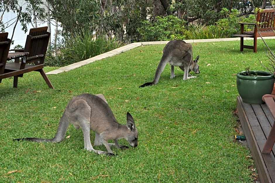 By the Beach B&B Self Contained Apartments