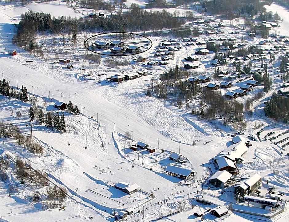 Alpin Apartments Sørlia