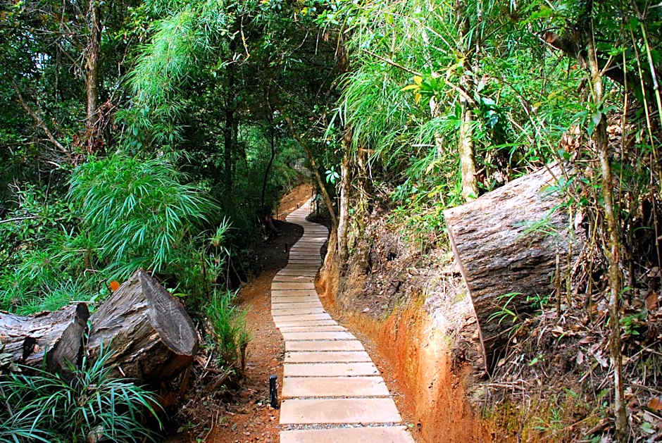 Dantica Cloud Forest Lodge