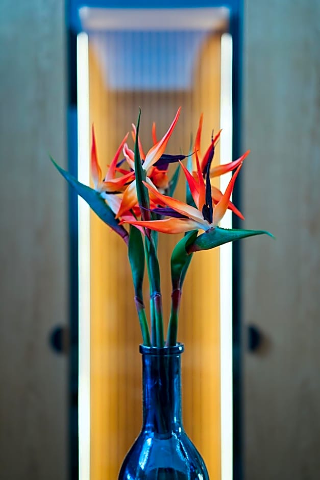 Capital Luxury Suites