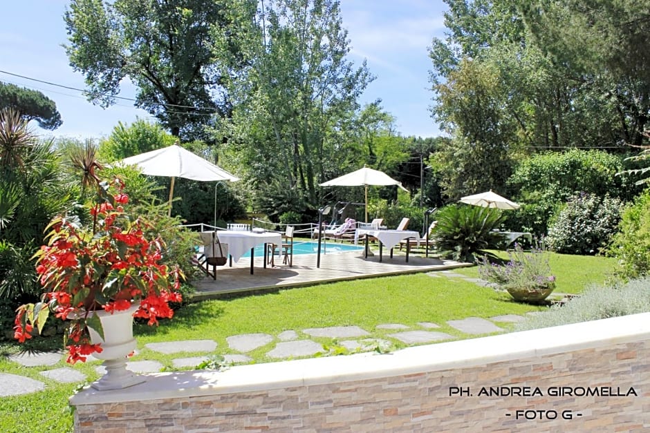 Hotel Nedy