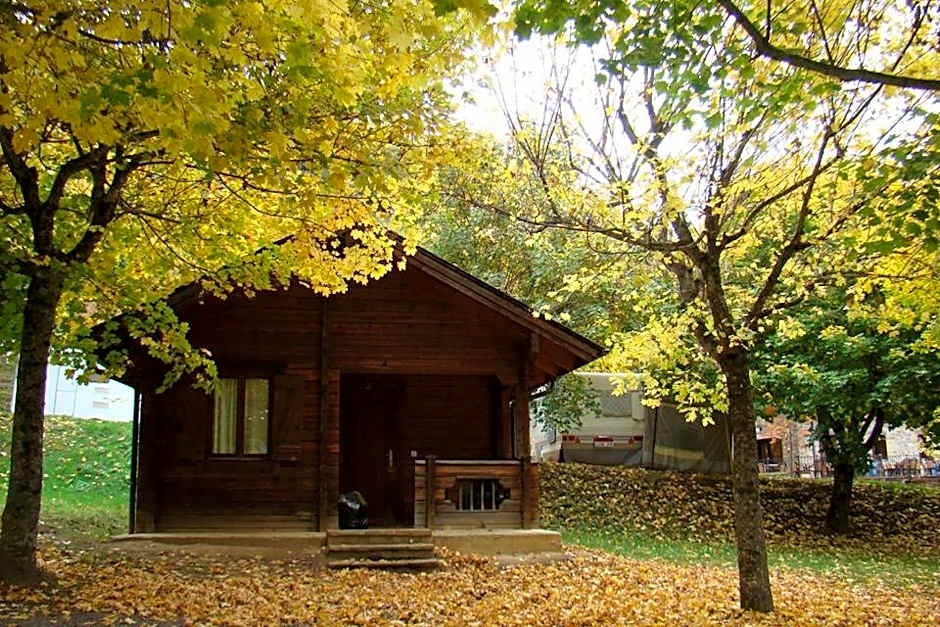 Hotel, Bungalows y Camping Viu