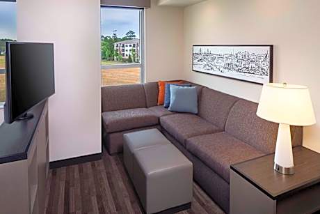 King Studio Suite with Sofa Bed and Roll-In Shower - Disability Access