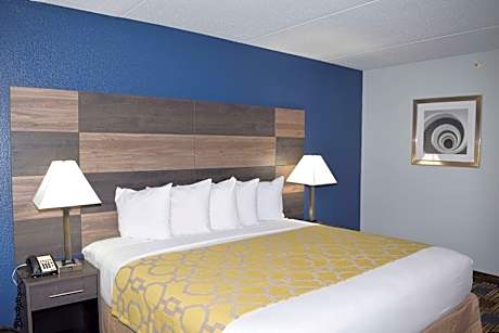 1 King Bed Deluxe Suite Non-Smoking