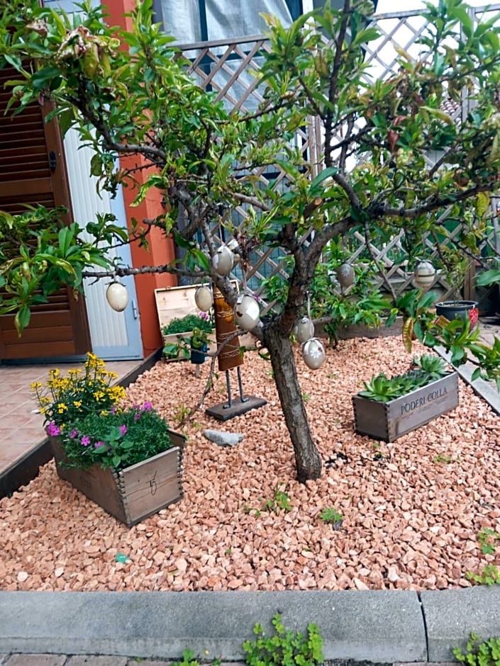 Casa Carolina