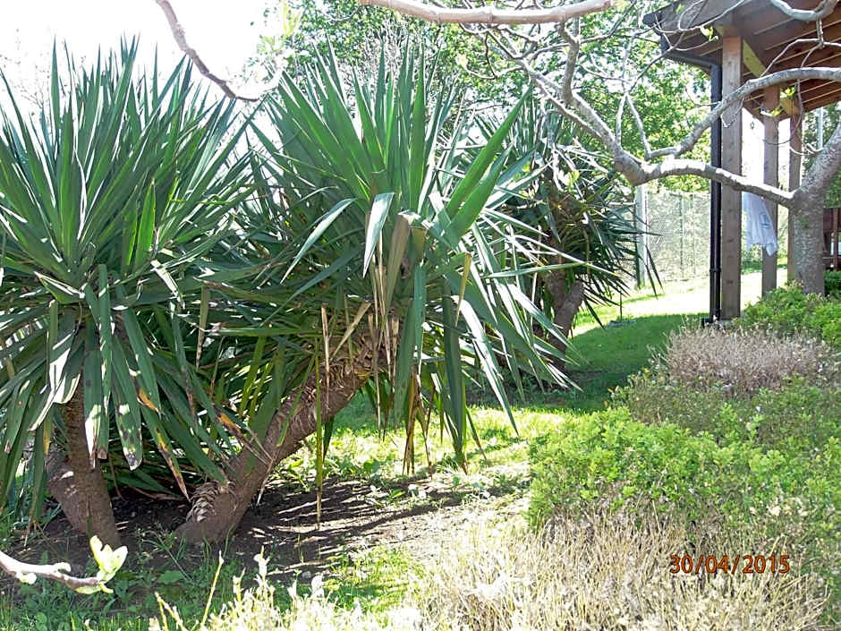 Villas and Bungalows Panorama