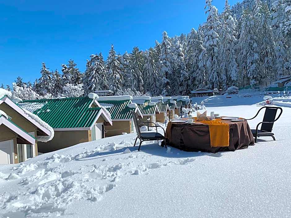 Mashobra Greens Shimla