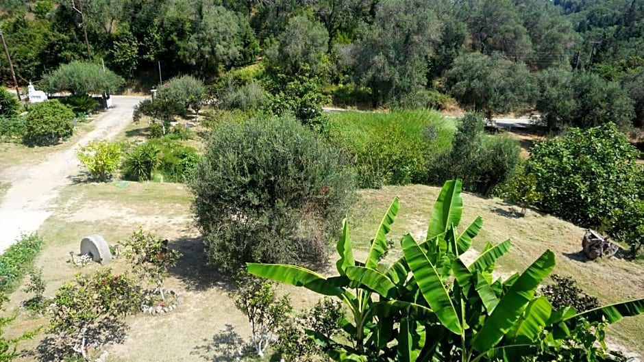Corfu's Calm Oasis - Serene Retreat