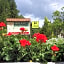 Hotel Restaurant La Petite Auberge Alsace