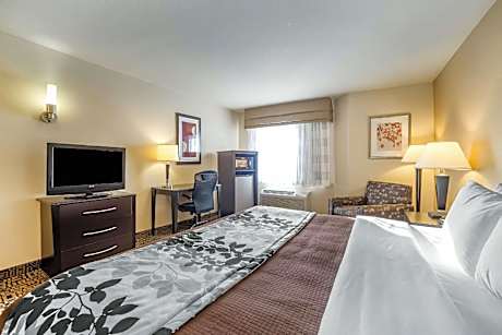 1 King Bed Nonsmoking Accessible