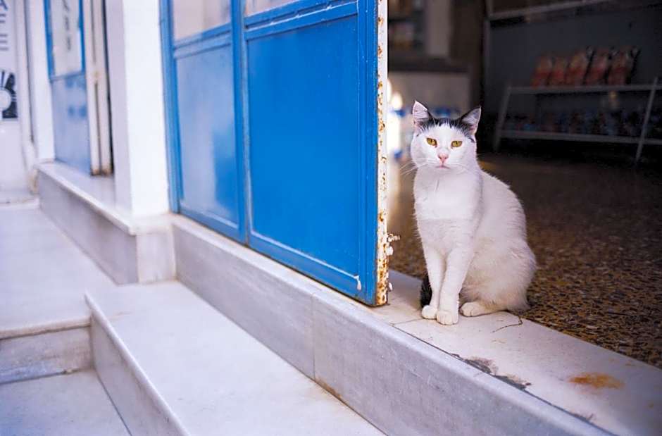 Superb Naxos Apartment Triple Studio Semi-Basement Private Balcony