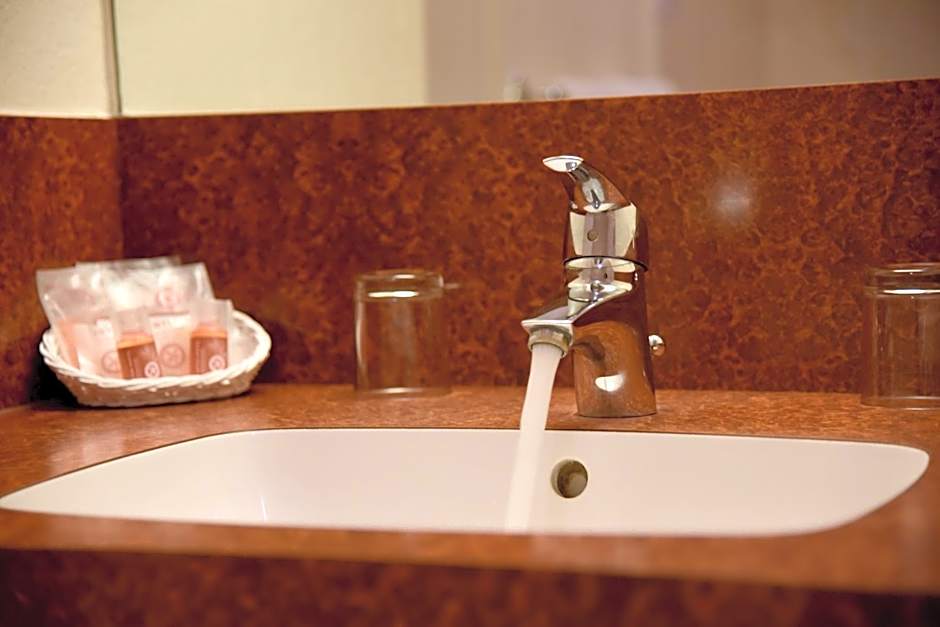 The Originals City, Hotel Chantecler, Le Mans (Inter-Hotel)