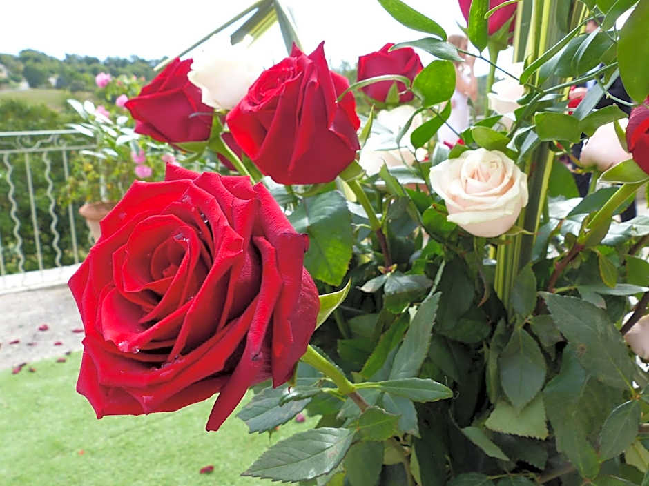 Château du Grand Jardin