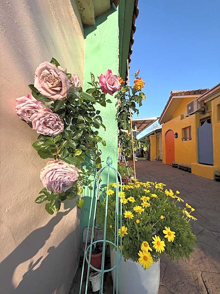 Alishan Tea Garden B&B