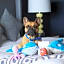 Monterey Beach Hotel, a Tribute Portfolio Hotel