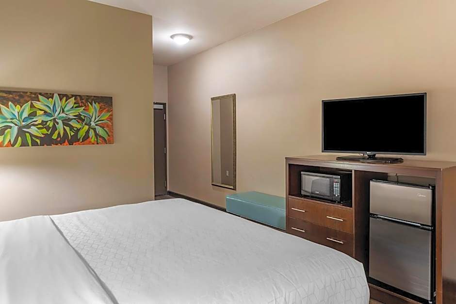 Holiday Inn Express & Suites Indio - Coachella Valley By IHG
