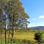 Cosy Rowan woodland lodge no3