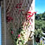 Happy Holiday in Rome b&b