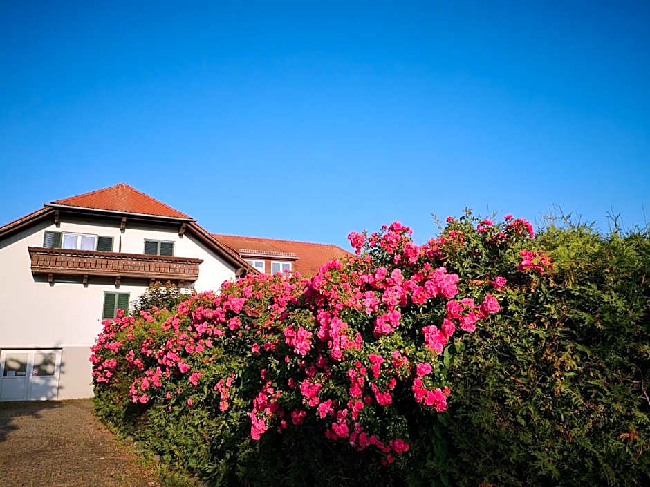 Goldener Hahn Apartments
